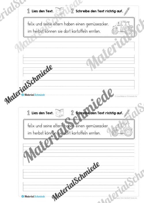 Mini-Heft: 10 Abschreibtexte zur Groß- und Kleinschreibung Thema Herbst (Vorschau 03)