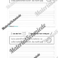 Mini-Heft: 10 Abschreibtexte zur Groß- und Kleinschreibung Thema Herbst (Vorschau 10)