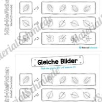 Mini-Heft: Herbst für die Vorschule (Gleiche Bilder finden)