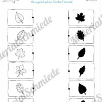 15 Rätsel zum Herbst für die 1. und 2. Klasse (Vorschau 08)