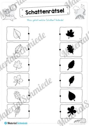 15 Rätsel zum Herbst für die 1. und 2. Klasse (Vorschau 08)