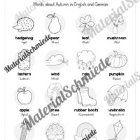 Workbook Herbst/Autumn auf Englisch (Arbeitsblatt 02)