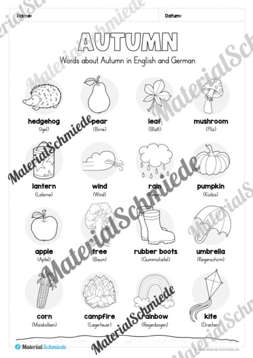 Workbook Herbst/Autumn auf Englisch (Arbeitsblatt 02)