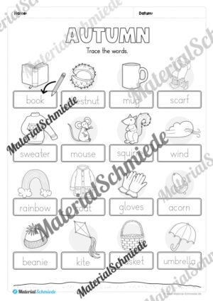 Workbook Herbst/Autumn auf Englisch (Arbeitsblatt 04)