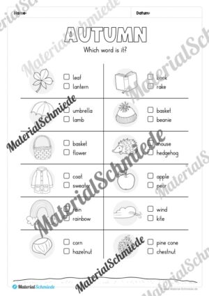 Workbook Herbst/Autumn auf Englisch (Arbeitsblatt 07)