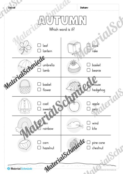 Workbook Herbst/Autumn auf Englisch (Arbeitsblatt 07)