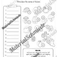 Workbook Herbst/Autumn auf Englisch (Arbeitsblatt 11)