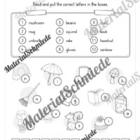 Workbook Herbst/Autumn auf Englisch (Arbeitsblatt 12)
