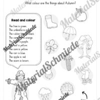 Workbook Herbst/Autumn auf Englisch (Arbeitsblatt 13)