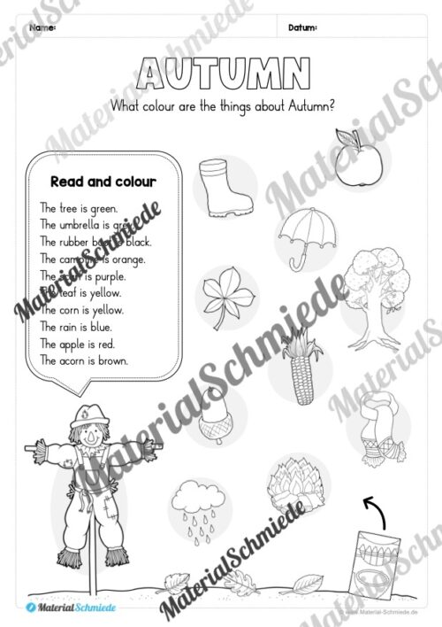Workbook Herbst/Autumn auf Englisch (Arbeitsblatt 13)