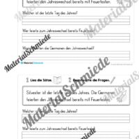 Mini-Heft: Lesetexte Neujahr (1. & 2. Klasse) - Arbeitsblatt 09