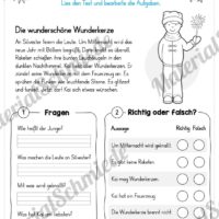 10 Lesetexte zu Silvester / Das neue Jahr (Vorschau 01)