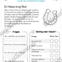 10 Lesetexte zu Silvester / Das neue Jahr (Vorschau 02)