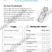 10 Lesetexte zu Silvester / Das neue Jahr (Vorschau 04)