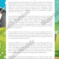 4 Geschichten zum Sommer (Picknick am See)