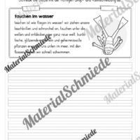 10 Abschreibtexte zum Sommer: Groß- und Kleinschreibung (2. Klasse) - Vorschau 05
