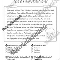 Sommer: Lesen & Verstehen mit Ankreuzen (Vorschau 01)