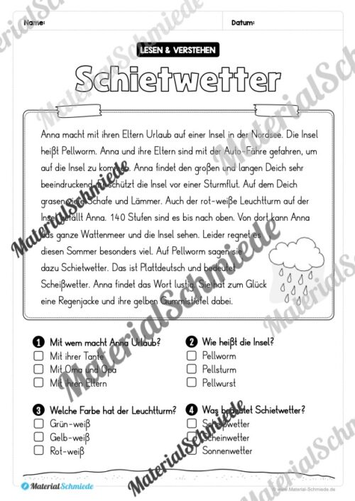 Sommer: Lesen & Verstehen mit Ankreuzen (Vorschau 01)