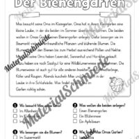 Sommer: Lesen & Verstehen mit Ankreuzen (Vorschau 02)