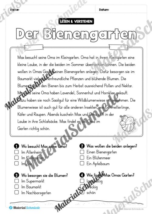 Sommer: Lesen & Verstehen mit Ankreuzen (Vorschau 02)