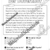 Sommer: Lesen & Verstehen mit Ankreuzen (Vorschau 03)