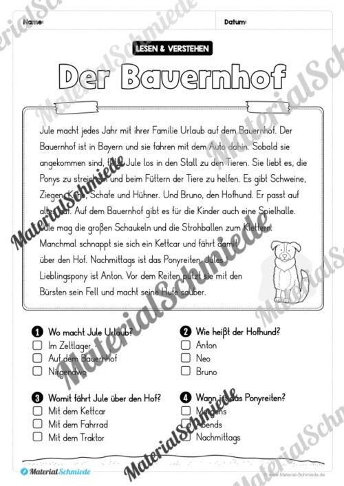 Sommer: Lesen & Verstehen mit Ankreuzen (Vorschau 03)