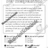 Sommer: Lesen & Verstehen mit Ankreuzen (Vorschau 04)