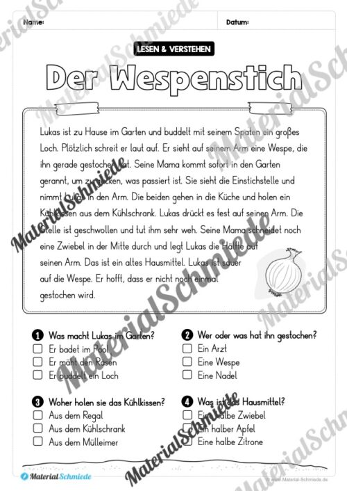 Sommer: Lesen & Verstehen mit Ankreuzen (Vorschau 04)