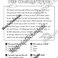 Sommer: Lesen & Verstehen mit Ankreuzen (Vorschau 06)