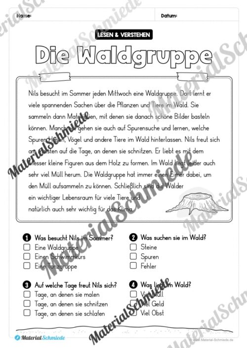 Sommer: Lesen & Verstehen mit Ankreuzen (Vorschau 06)