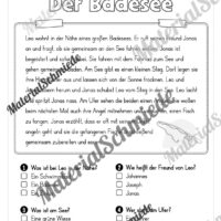 Sommer: Lesen & Verstehen mit Ankreuzen (Vorschau 07)