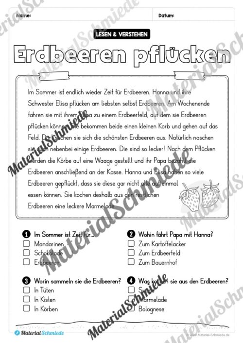 Sommer: Lesen & Verstehen mit Ankreuzen (Vorschau 08)