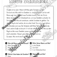 Sommer: Lesen & Verstehen mit Ankreuzen (Vorschau 09)