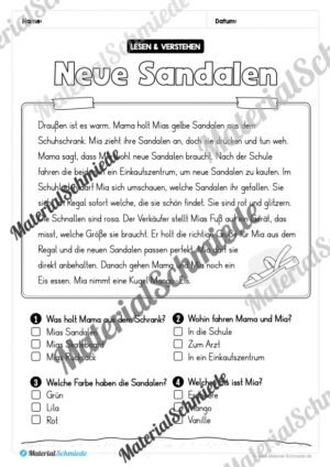 Sommer: Lesen & Verstehen mit Ankreuzen (Vorschau 09)