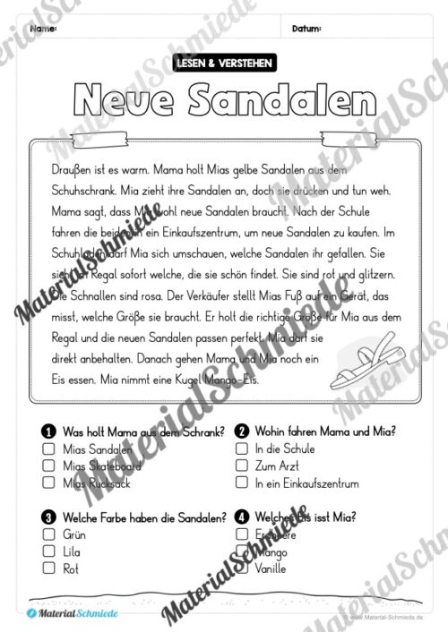 Sommer: Lesen & Verstehen mit Ankreuzen (Vorschau 09)