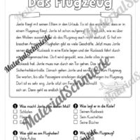 Sommer: Lesen & Verstehen mit Ankreuzen (Vorschau 10)