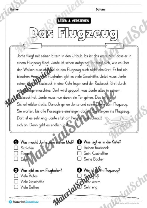 Sommer: Lesen & Verstehen mit Ankreuzen (Vorschau 10)