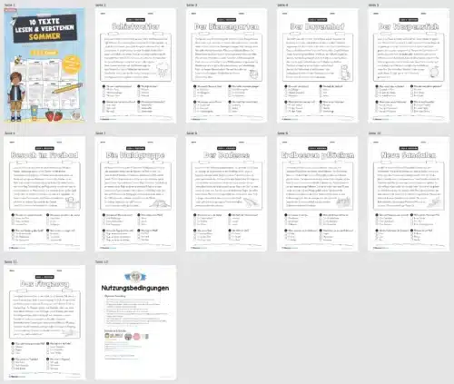 Sommer: Lesen & Verstehen mit Ankreuzen (Überblick)