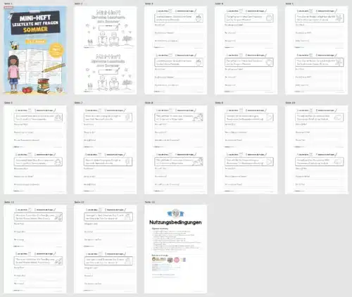 Mini-Heft: Lesetexte Sommer (1. Klasse) - Überblick