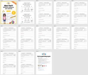 Mini-Heft: Lesetexte Sommer (1. Klasse) – Überblick