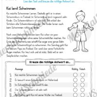 10 Leseübungen zum Sommer (Vorschau: Richtig oder falsch)