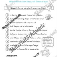 Materialpaket Sommer: 2. Klasse (Vorschau 20)