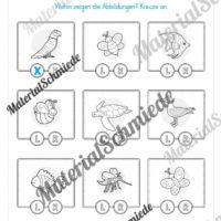 Materialpaket Sommer: Vorschule (Vorschau 21)