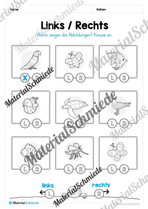 Materialpaket Sommer: Vorschule (Vorschau 21)