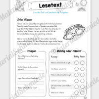 Unterrichtsmaterial: 10 Lesetexte zum Sommer (mit Aufgaben) - Vorschau 04