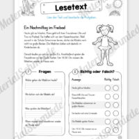 Unterrichtsmaterial: 10 Lesetexte zum Sommer (mit Aufgaben) - Vorschau 07