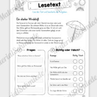 Unterrichtsmaterial: 10 Lesetexte zum Sommer (mit Aufgaben) - Vorschau 08