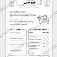 Unterrichtsmaterial: 10 Lesetexte zum Sommer (mit Aufgaben) - Vorschau 09