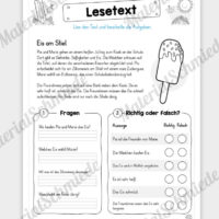 Unterrichtsmaterial: 10 Lesetexte zum Sommer (mit Aufgaben) - Vorschau 10