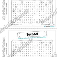 Mini-Heft: Sommer für die 1. Klasse (Suchsel)
